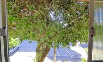 Imagem 4: AP EM COQUEIRAL DE ITAPARICA