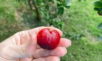 Imagem 3: Casa alto padrão no Condomínio Village da Serra