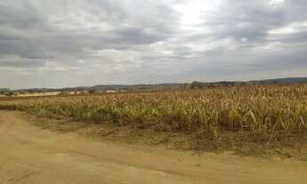 Imagem 5: Fazenda em ARAGOIÂNIA 10 Alqueires plantado lavoura!!