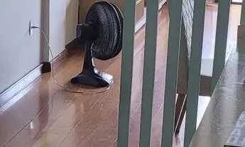 Imagem 2: Apartamento 3 quartos, com suíte e varanda