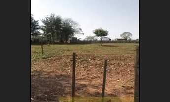 Imagem 5: Manduri - Terreno Padrão - Olhos D'agua