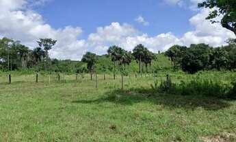 Imagem 2: Fazenda em Cachoeira do Piriá de 243 hectares com sede de 6 cômodos, 4 açudes curral - LT
