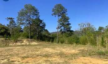 Imagem: Terreno de 45 mil metros á venda em São