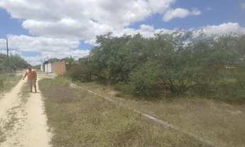 Imagem 4: Terreno para chácara