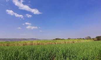 Imagem 4: Terreno para venda com 96800m² em Cravinhos