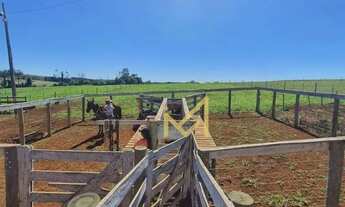 Imagem 3: Sítio - 54.450 m² por R$ 1.900.000 - Rio Do Salto - Cascavel/PR