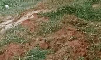 Imagem 6: RESIDENCIAL TABARANA - TERRENO C/ ÁREA DE 325,75 M²