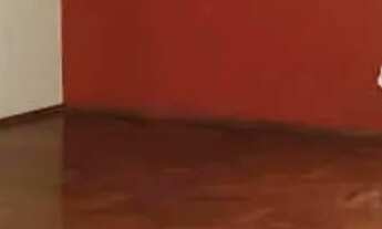 Imagem 3: Casa à Venda de 04 Quartos no Bairro Alto da Boa Vista em Ribeirão Preto com Churrasqueira