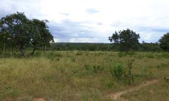 Imagem 2: Fazenda de 226 Hectares em Formoso MG Escriturada