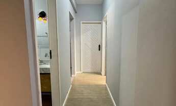 Imagem 5: LD Alugo Apartamento mobiliado no Marco com 2 quartos, atrás do Bosque