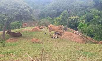 Imagem 5: Chácara no Monzondo Planaltina-GO com 17 hectares