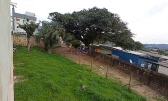 Imagem 5: Casa no bairro Belém Velho