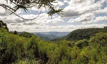 Imagem: Area de terra com 52 mil metros a venda
