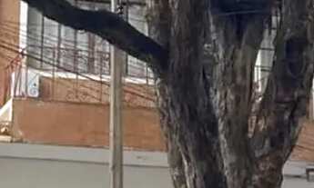 Imagem 2: Imóvel para aluguel possui 120 metros quadrados com 3 quartos em Zona 01 - Maringá - PR