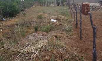 Imagem: Oportunidade de ano novo