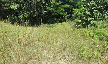 Imagem 6: Vende-se um terreno com 1.840 m2 no Rio Preto da Eva