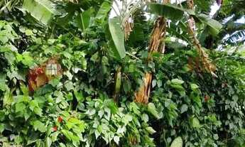 Imagem 7: Itanhangá - Terreno - 1765m²