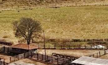 Imagem 3: Fazenda de 70 alqueires em Pontalina go