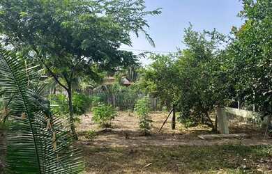 Imagem 5: Vendo Terreno Grande -(área verde