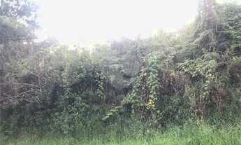 Imagem 2: Terreno à venda em Roseira - SP