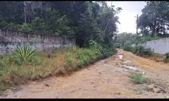 Imagem: Terreno no Tarumã medindo 10.000m²