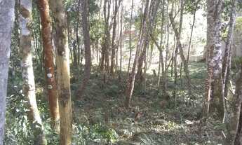 Imagem 6: Terreno com 1889 m² próximo a praça do Caputera - Aceita financiamento bancário