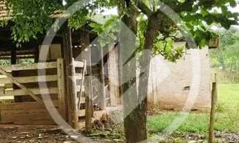 Imagem 4: REF: Office1099 Fazenda em Nerópolis/Ouro verde com 5,6 Alqueires, Goiás. codigo: 23029