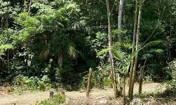 Imagem 4: Lindo Terreno com escritura em Juquitiba com 3.000 metros quadrados