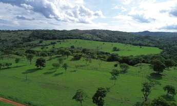 Imagem 4: Fazenda a venda, em Novo Aurora Goias!
