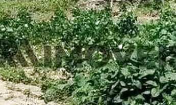 Imagem 3: Terreno à venda no bairro de Ponta Negra, Natal, RN - próximo a Av do Praia Shopping e Pra