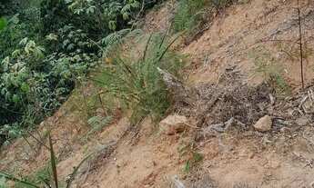 Imagem: Vendo linda chácara valor 60 mil