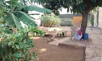 Imagem 5: Terreno no custódio Pereira ótima localização 420 mts