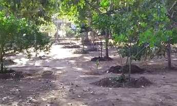 Imagem 7: Rancho araguaia Chácara com venda por R$110.000