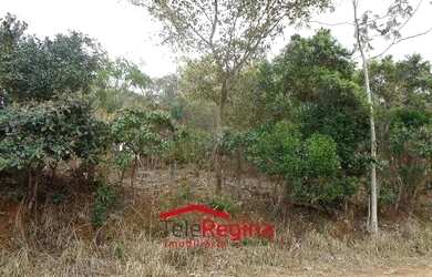 Imagem 5: TERRENO PARA VENDER EM CAÇAPAVA