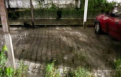 Imagem 4: Vendo Apartamento de 2 quartos