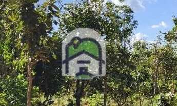 Imagem 2: De Carro Parado a Investimento Seguro