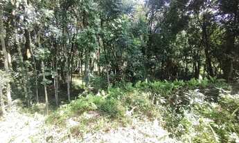 Imagem 5: AMPLO TERRENO NO 15 DA GRACIEMA EM BENTO GONÇALVES