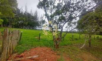 Imagem 4: Sítio dos Sonhos 500.000 m² de Terra Plana, Lazer e Produção à venda por R$ 5.000.000,00