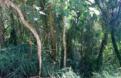 Imagem 3: Lote à venda no Condomínio Veredas das Gerais