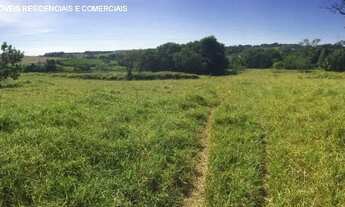 Imagem 5: Galpão a venda na Anhanguera