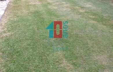 Imagem 7: Recreio dos Bandeirantes