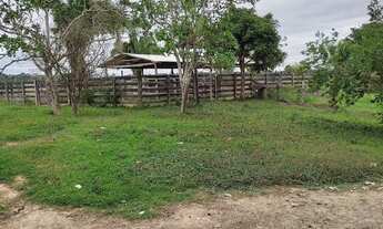 Imagem 3: Fazenda Fazenda / sítio com venda por R$1.200.000