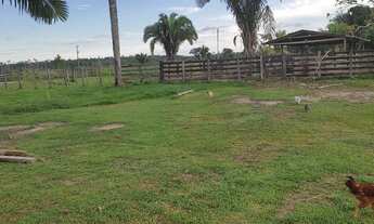 Imagem 9: Fazenda Fazenda / sítio com venda por R$1.200.000