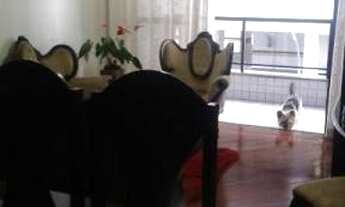 Imagem 3: Apto 3 quartos com 1 suíte e vaga de garagem - Bom Pastor - Juiz de Fora