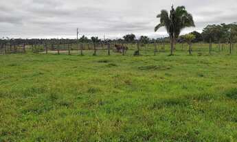 Imagem 13: Fazenda Fazenda / sítio com venda por R$1.200.000