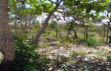 Imagem 4: Linda chácara de 1.000 metros,Baldim (Temos varias opções)