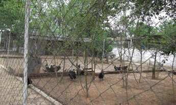 Imagem 7: Linda fazendinha de 20.000 m² as margens do Rio, Jaboticatubas(Temos varias opções)