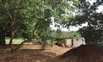 Imagem 2: RIBEIRãO PRETO - Padrão - Vila Virgínia