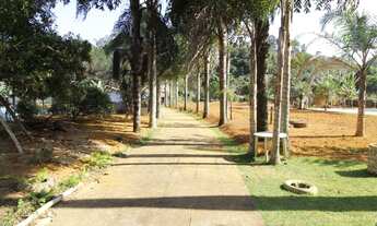 Imagem 2: Granja Novo Horizonte com 2542 metros quadrado