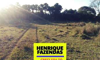 Imagem 5: Fazenda no sul do Tocantins 35,5 Alqueires 171,83 hectares